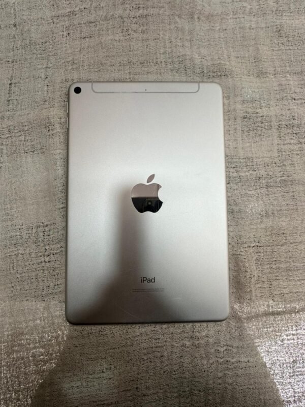 Apple Ipad Mini 5 | 256 Gb