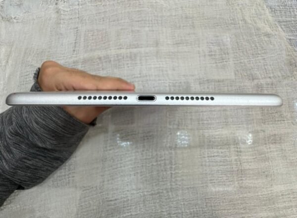 Apple Ipad Mini 5 | 256 Gb