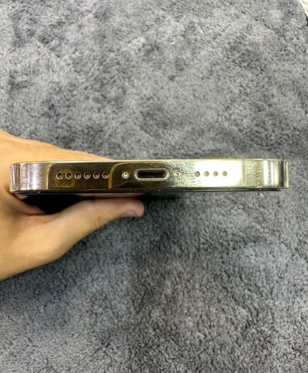 Iphone 13 Pro Max | 1TB