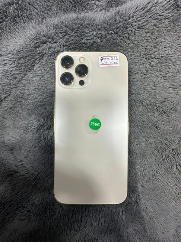 Iphone 12 Pro Max | 256 GB