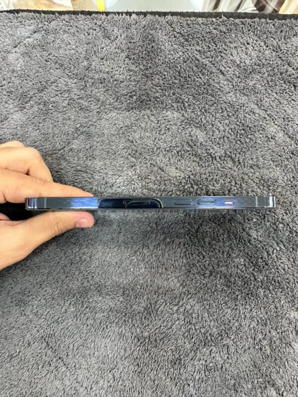 Iphone 12 Pro Max | 256 GB