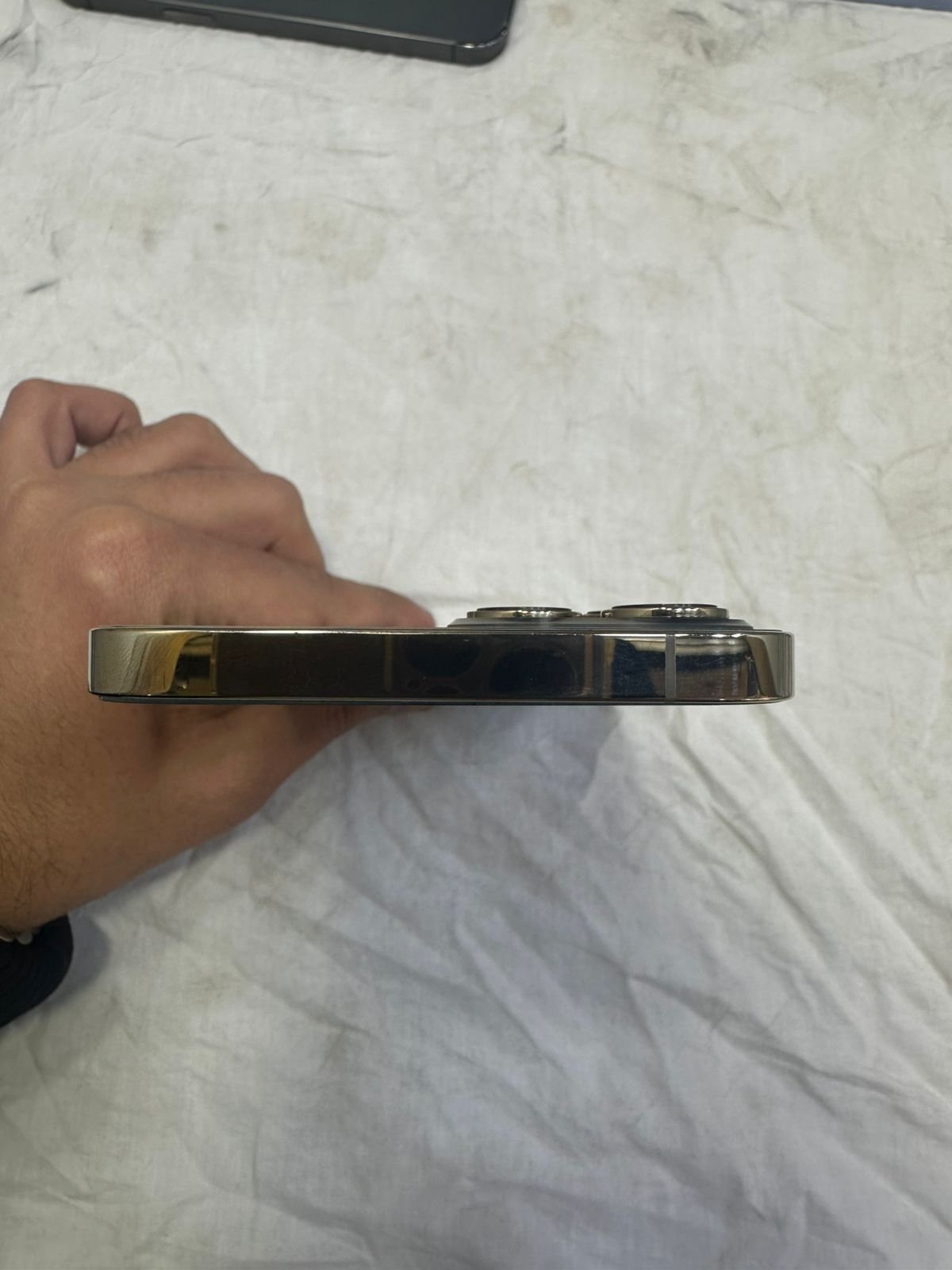 Iphone Pro Max | 256 GB